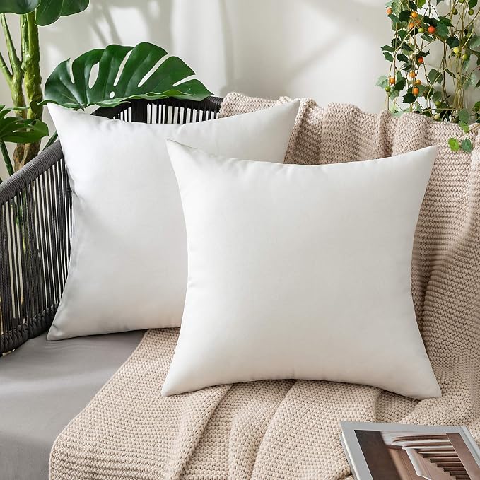Decorative Pillows