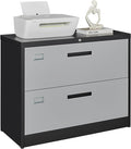 Letaya File Cabinet with Lock-Lateral 2 Drawer Metal Filing by LetayaMetalCabinets