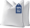 MIULEE Goose Feather Down 26x26 Euro Pillow Insert Set of 2 by MIULEE