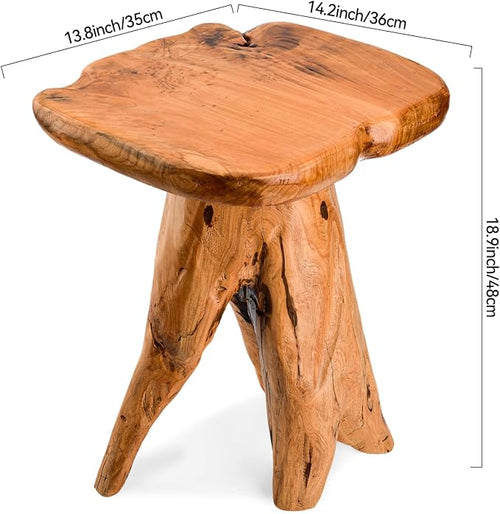 18.9 inch Live Edge Wood Stool, Live Edge Wood Stool, Freeform Mushroom Side - Image 2