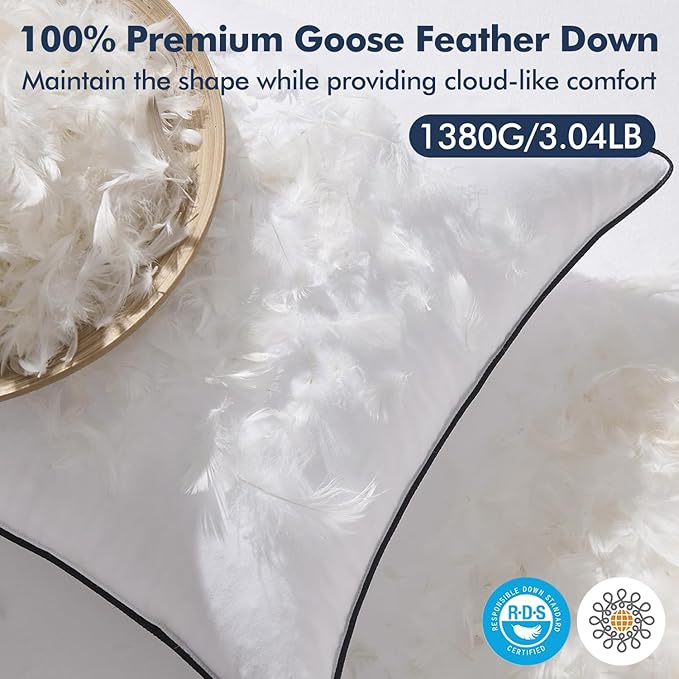 MIULEE Goose Feather Down 22x22 Pillow Insert Set of 2 - Image 2