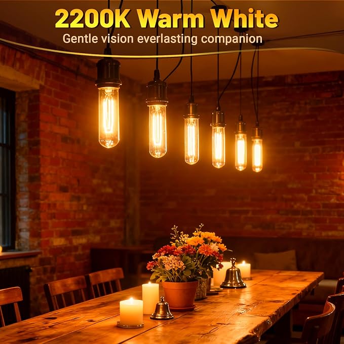 T10 Tubular Light Bulbs 25 Watt Incandescent Light Bulb, T10 Bulb, 120V 25W - Image 3