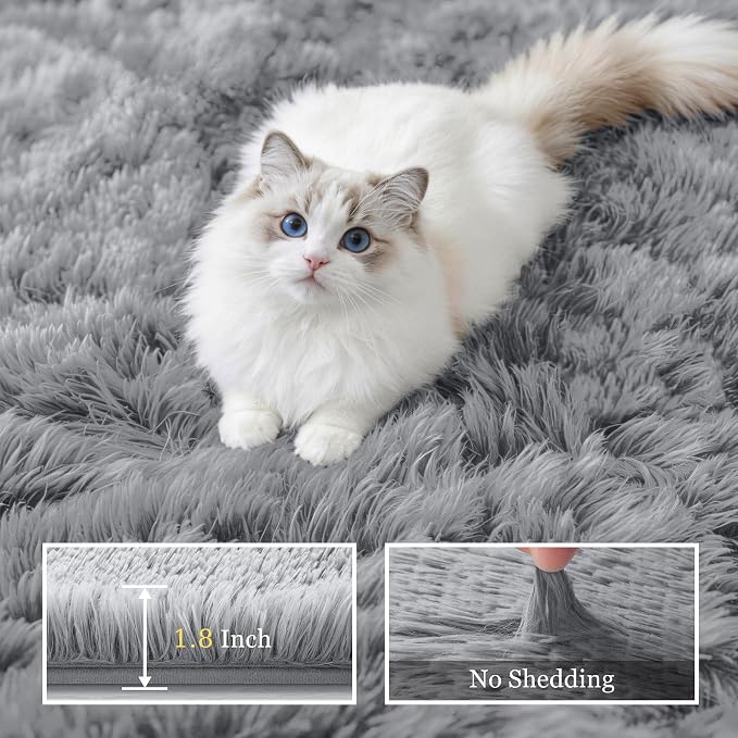6x9 Area Rugs for Living Room Bedroom: Ultra Soft Fluffy Shag Rug Upgrade - Image 5
